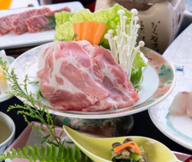 Raw beef slices with vegetables served at Kurhouse Shirahama in Wakayama, Kansai