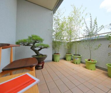 Sunlit tiled balcony with wooden bench, bonsai and potted plants at Kyo Machiya Ryokan Yuan in Kyoto