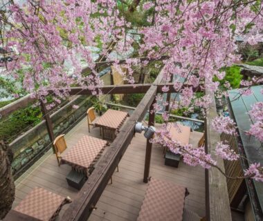 Outdoor wooden terrace dining under cherry blossoms beside a narrow canal at Nanzenji Ryokan Yachiyo in Kyoto