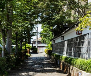 Tree-lined stone path beside a white plaster wall leading to traditional buildings at Kyotoya, Saga, Kyushu