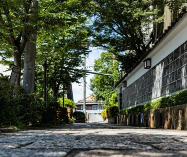 Low-angle view of stone walkway flanked by trees and traditional wall leading to Kyotoya entrance in Saga, Japan