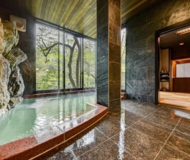 Stone-lined indoor onsen bath with rock wall and leafy window view, Kyousen, Nagano Chubu Japan