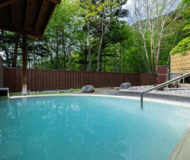 Outdoor onsen bath with milky blue water at Kyukamura Nikko-Yumoto in Tochigi forest setting