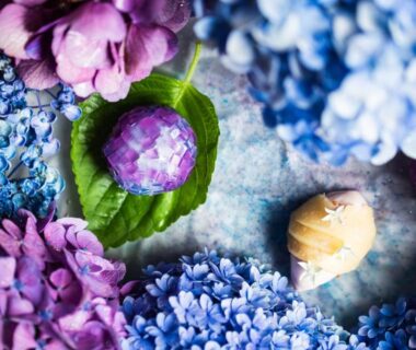 Blue and purple hydrangea blossoms around a leaf with a small confection and decorative shell