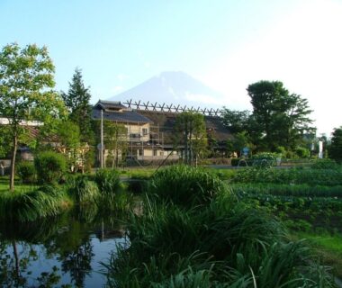 Tranquil pond and greenery before Lake Oshino ryokan with Mount Fuji visible in the distance, Yamanashi Chūbu