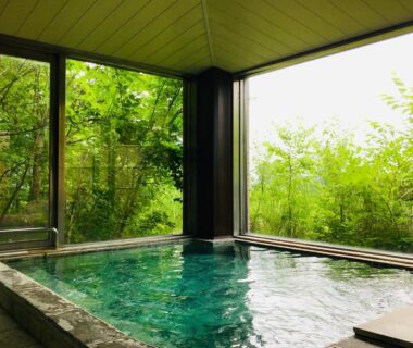 Indoor onsen bath with large windows overlooking lush greenery at Lake Side Nikko Hotel, Tochigi