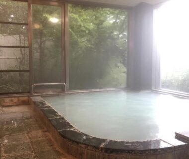 Stone-edged indoor onsen with large windows overlooking trees at Lake Side Nikko Hotel in Kanto, Japan