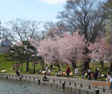 People strolling beneath cherry trees beside a pond near Mimatsuso Ryokan in Hokkaidō