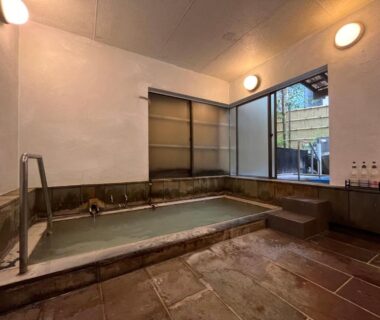 Stone-lined indoor onsen bath with steps, handrail and window overlooking a small courtyard at Mitake, Kanagawa