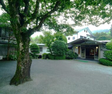 Gravel courtyard with large tree at Mitake ryokan in Kanagawa, Kantō