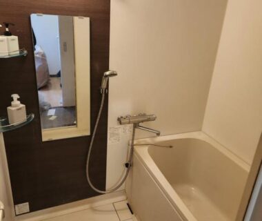 Small tub and hand shower with mirror and toiletries in Mitsubikiya bathroom, Nagano