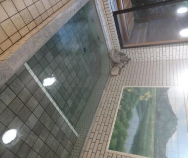Indoor tiled bathing area at Mizubasho no Yado Higashi in Gunma showing rectangular pool and wall mural