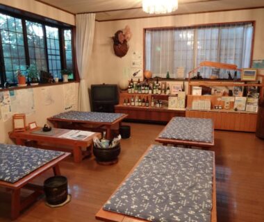 Low wooden platforms with blue cushions in Mizubasho no Yado Higashi lounge, Gunma