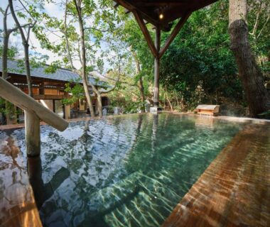 Wooden outdoor onsen pool with steps, shelter and surrounding trees at Mori no yu Kira No Sato, Shizuoka