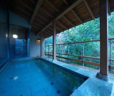Covered stone bath opening to lush greenery at Musashino Bekkan, Kanagawa, Kantō