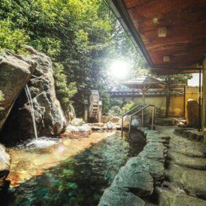 Nara Park Hotel