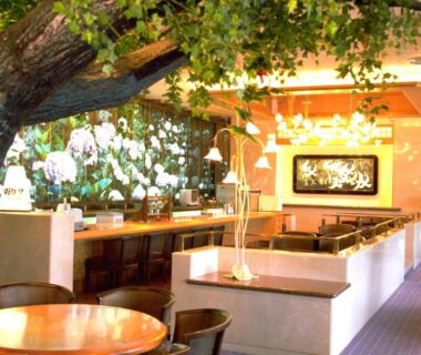 Lounge with indoor tree and bar, Nara Park Hotel, Nara
