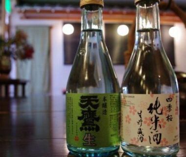 Two small sake bottles on polished wooden table with blurred ryokan interior at Nasushiobara Masudaya Tochigi