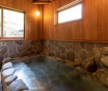 Indoor stone onsen bath with wooden paneling at Natural Hot Spring Inn Choseian, Wakayama, Kansai