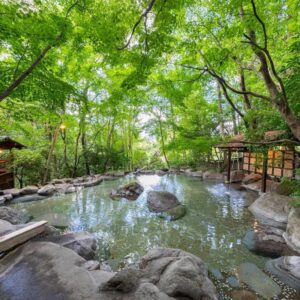 Stone-bordered outdoor onsen pool surrounded by green maple trees at Nihon-no-Ashitaba, Ōita, Kyūshū