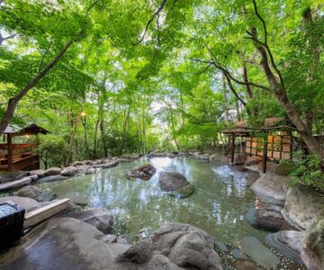 Nihon-no-Ashitaba