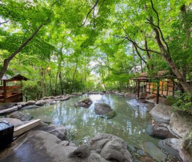 Nihon-no-Ashitaba