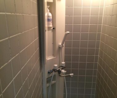 Small tiled shower with handheld head and soap dispenser at Nihonkan, Kyoto, Kansai