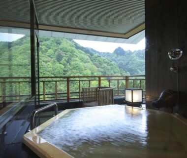 Indoor wooden bath overlooking green mountains with balcony seating at Nikko Senhime Monogatari, Tochigi