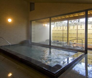 Glass-walled indoor onsen bath at Nikko Tokanso in Tochigi Kantō