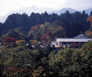 Nikko Tokanso buildings nestled on wooded hillside near Tochigi mountains