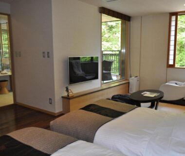 Twin beds, lounge chairs, TV, shoji window and balcony overlooking green trees at Niseko Konbu Onsen