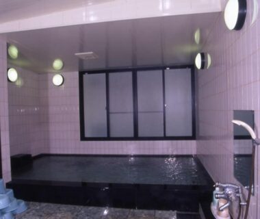Tiled indoor bathing pool with stools and shower stations at Nisshokan, Mie, Kansai Japan
