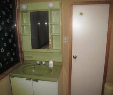 Green sink and mirror with toiletries beside sliding door at Nitaya, Gunma, Kantō