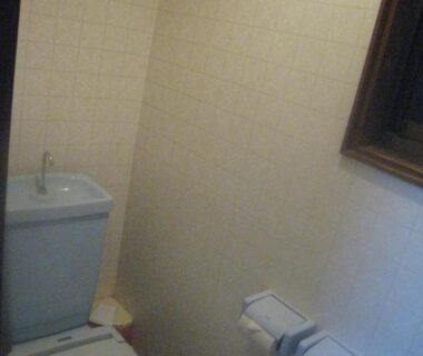 Compact toilet with control panel, tiled walls and window at Nitaya Ryokan, Gunma Kantō