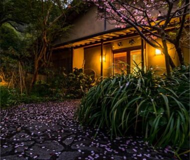 Stone path strewn with cherry blossom petals leading to warmly lit wooden ryokan entrance and garden plants