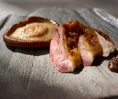 Sliced seared meat and shiitake on ceramic plate at Ochiairo ryokan in Shizuoka, Chūbu, Japan