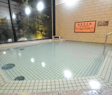Tiled indoor onsen pool with handrail at Onsen Urashima in Hiroshima