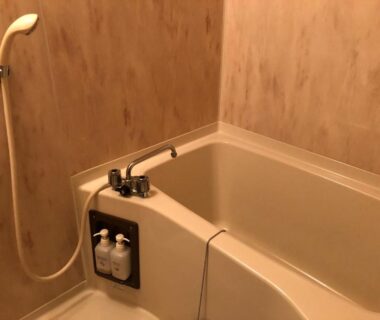 Small bathtub with handheld shower and wall-mounted dispensers at Onyado Hisui in Gifu, Chūbu