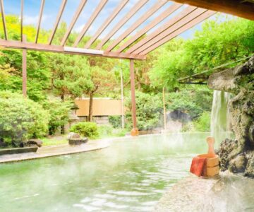 Ooedo Onsen Monogatari Shinshu Kakeyu