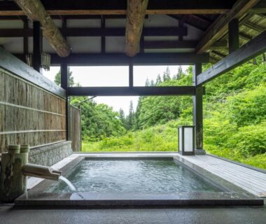 Wooden onsen bath opening to lush green hillside at Osawayama Onsen Osawakan, Niigata