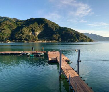 Wooden dock stretching into a calm bay with forested mountains beyond at Owase Seaside View, Mie, Japan