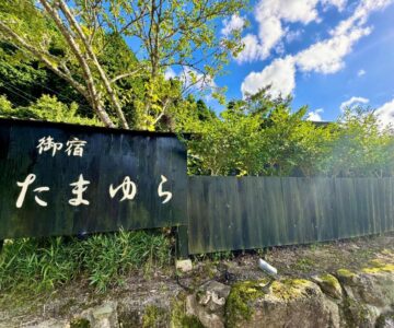 Oyado Tamayura 18 years or older