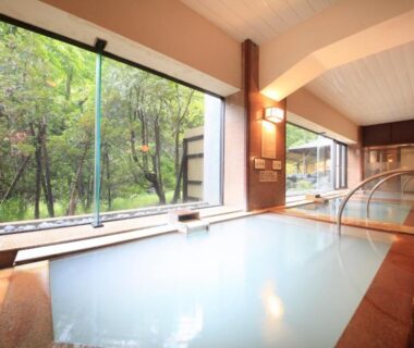 Indoor onsen bath with garden view at Park Hotel Miyabitei, Hokkaidō Japan