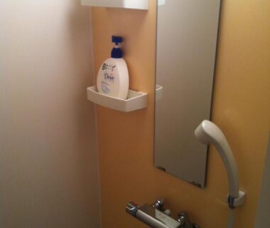 Wall-mounted mirror, handheld showerhead and shelves with soap dispensers in Rakucho Ryokan bathroom, Kyoto