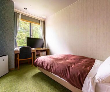 Compact bedroom with single bed, desk, TV and window showing leafy view at Rantei Miyagi Tohoku