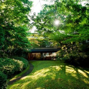 Sunlit moss garden with a low wooden ryokan building and surrounding maple trees