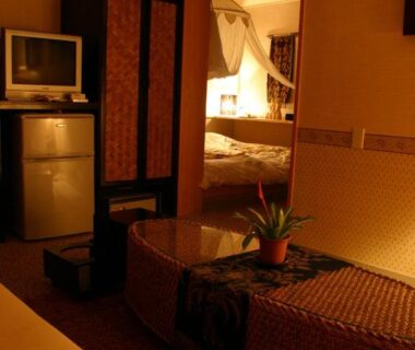 Warm-lit ryokan room interior with low table, divider screen, TV and bed at Rurika in Shizuoka