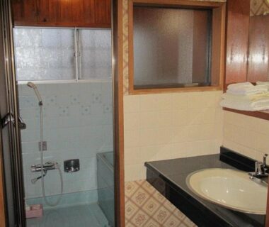 Tiled bathing area with hand shower and sink vanity at Ryokan Fuji in Tokyo