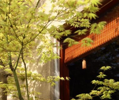 Green maple foliage beside wooden window and bamboo blind at Ryokan Karasawa, Ishikawa, Chūbu, Japan