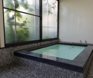 Rectangular indoor stone onsen bath with frosted windows and plants at Ryokan Matsukaze, Nagano
